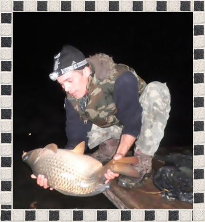 carp - 2307691858561714621921000011343141894479978349754n.jpg